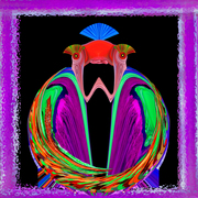 Mants-pray-purpl-fram222333_card
