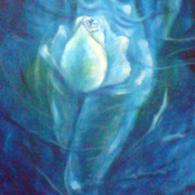 Dsc00119_card