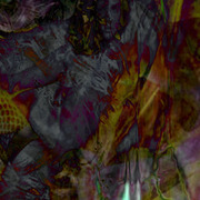 Untitled-13a_card