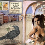 Whya_inever_surprised_card