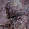 Skull_thumb