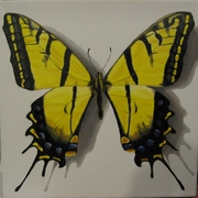 Copy_of_color_oil_028_card