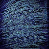 Webbing_sage_thumb