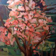 Cherry_blossom_in_full_bloom_almost_finished_card