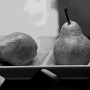 Pears_you_excite_me_so_card