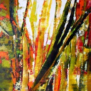 Floresta_vi_card