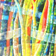 Arvoredo_card