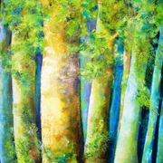 Floresta_amaz_nica_iv_card