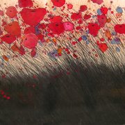 Stormypoppies_card