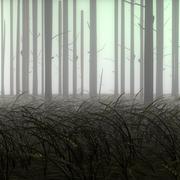 Forest_card