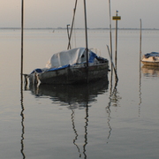Dsc_0059_card