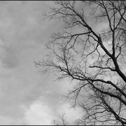 Dark_day_card