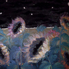 Moonflowers_thumb