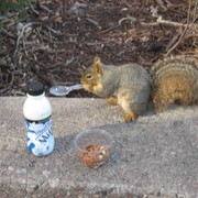 Picture_052_card
