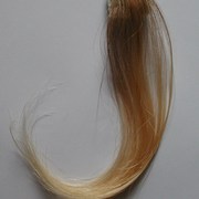 An_inch_of_scalp_card