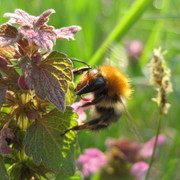 Img_6893_card