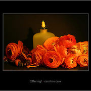 589870-1-offering_card