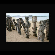 605948-1-walking-towards-their-destiny_card