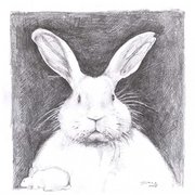 Easter_bunny_portrait_by_lovelycristina_card