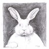 Easter_bunny_portrait_by_lovelycristina_thumb