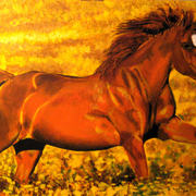 Fields_of_gold__signed_card