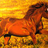 Fields_of_gold__signed_thumb