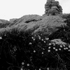 Summer_mt_washington_thumb