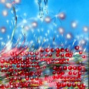 Paraiso_artificial_81x122_técnica_mixta_sobre_tabla_card