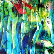 Floresta_amaz_nica_iii_card