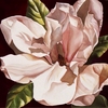 Spring_magonlia_thumb