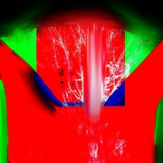 Blueree_card
