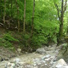 Dsc07080_thumb