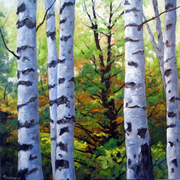 Bouleaux_07_card