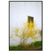 Colors_card