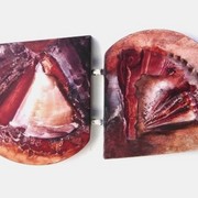 P4190_card