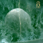 Osmosis_card
