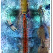 Song_from_last_summe_card