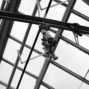 Conservatory11_card