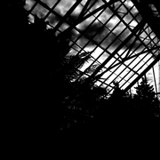 Conservatory4_card
