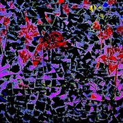 _____card