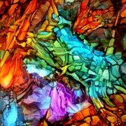 Cimg2307_card