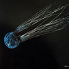 Jellyfish_i_-_70x70cm_thumb
