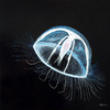 Jellyfish_ii_-_70x70cm_thumb