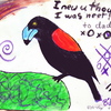 Meg_s_blackbird_thumb