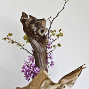 Ikebana-123_card