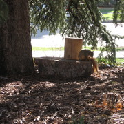 Picture_009_card