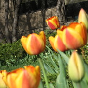 Picture_011_card