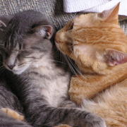 P2004-0904-0047_card