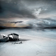 Stranded-web_card