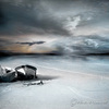 Stranded-web_thumb